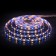 Elektrostandard LED strip, IP20, 5050, 60LED/m, 24V, MIX RGB/glow warm white