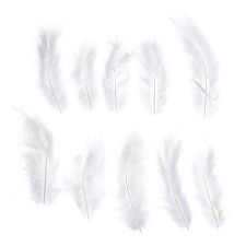 A set of feathers for decor 10 pcs., Size 1 pcs: 10 × 2 cm, white color