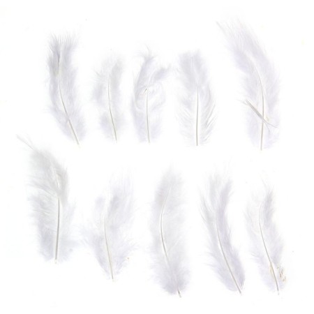 A set of feathers for decor 10 pcs., Size 1 pcs: 10 × 2 cm, white color