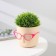 Kashpo for flowers with an insert “Marie”, 650 ml, d = 11.5 cm, h = 10.5 cm, color white clay