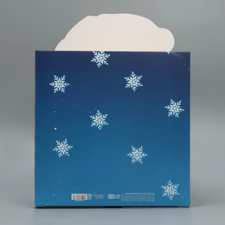 Folding box “Happy New Year!”, Bear, 25 x 25 x 10 cm, new year-4