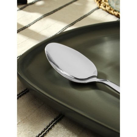 A spoon of stainless steel “Hokkaido”, length 20.5 cm, silver color-1