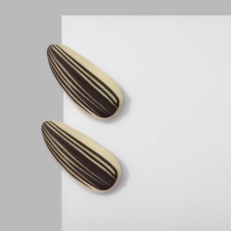 Earrings plastic "seeds", black and white color-1