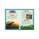Interactive children's encyclopedia with magnets "Dinosaurs"