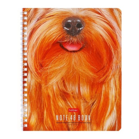 Notebook 48 sheets, in a cage, on the crest, “wake the beast in yourself!”, Cover coated cardboard, offset block, mix-5