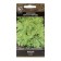 Seeds "Rusich" 1 g