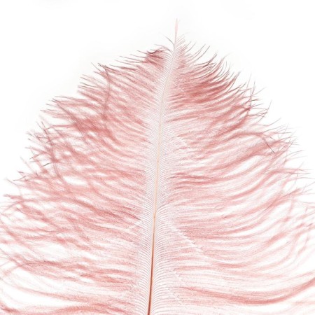 A feather for decor, length from 45 to 60 cm, color powder-violet-1