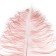 A feather for decor, length from 45 to 60 cm, color powder-violet