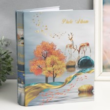 Photo album in 200 photos 13x18 cm 