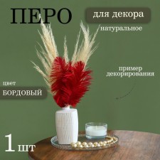 Feather for decor, size: 24 cm, burgundy color