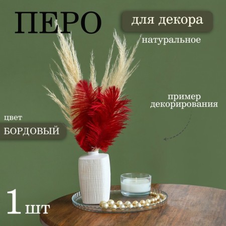 Feather for decor, size: 24 cm, burgundy color