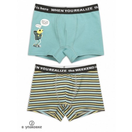 Panties for boys, height 98 cm, gray, gray color, 2 pcs
