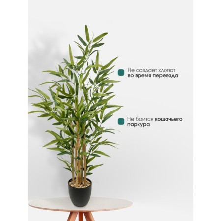 Bamboo in a plastic pot, 135 × 135 × 920 mm, green / black / beige color-5