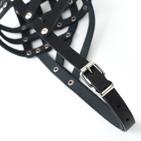 Bordordnik leather, size 24 (American cocker-spaniel, zvergshnuzer), black-4