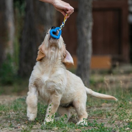 Toy "heart with a rope", 7 cm, blue-4