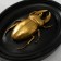 Panel Interior Polystone "Beetle" Black with gold 15x3x19 cm