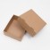 Box the team, cover, "brown" 21 x 18 x 8 cm