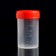 A container without a spatula, sterile, in individual packaging, 60 ml * 10 pcs.