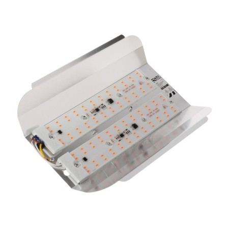LED Luazon SDU09-100, 100 W, IP65, 220V phitrodrotctor.-1