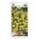 Flower seeds Beiden "Ellou", 0.1 g