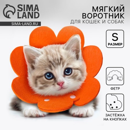 Soft collar for animals Fetire, orange cent, size S