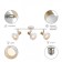 Lamp wall-flowing spot Rivoli Lorena 3kh14, 40 watts rotary