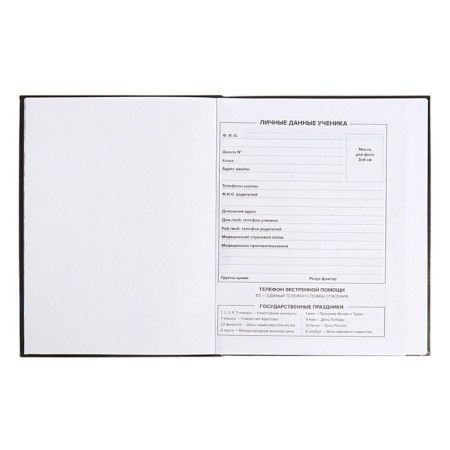 School diary for grades 1-11 "Leo", covered cardboard, glossy lamination, embossing foil, universal cheat sheet, 48 sheets, block 65g/m2-4