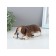 Figure "Dog Sleeps" 18x9x8cm