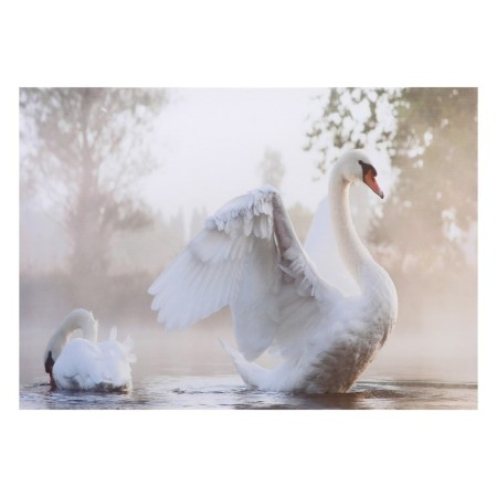 Picture "Swans" 50*70 cm