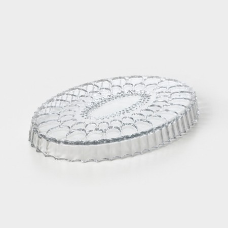 Glass plate nova, 31.5 × 21.5 cm-2