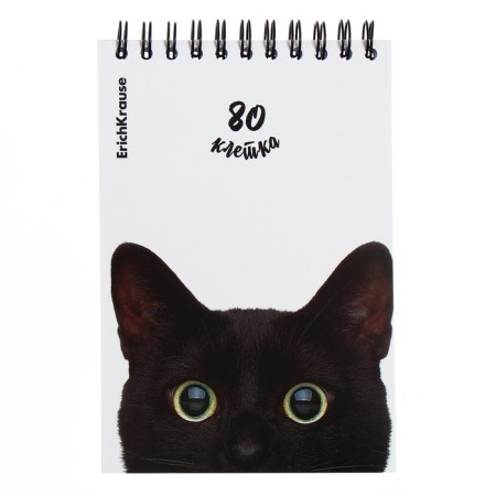 Notepad on spirals A6, 80 sheets, cage, erichkruuse "cats", cardboard cover, offset unit, 100%whiteness, mix-6