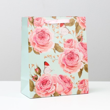 Laminated package, 26 x 32 x 12 cm