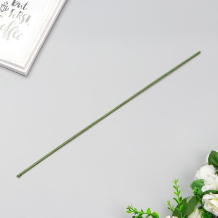 Wire for the manufacture of artificial colors "Green" 40 cm section 2.5 mm-1