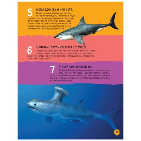 Sharks. Illustrated encyclopedia. Mason P.-8