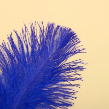 Feather for decor, size: 20-24 cm, blue color-1