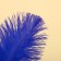 Feather for decor, size: 20-24 cm, blue color