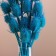 Set of dried flowers "Brush", banch 7-8 pcs, length 50 (+/- 6 cm), bright blue