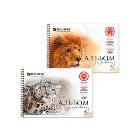 Album for drawing Brauberg "noble cats", A4, 40 sheets on the crest, 110 g/m2