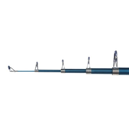 Spinning telescopic "Volgar", test 20-60 g, length 2.7 m-2