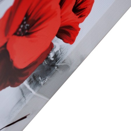 Picture on the canvas "Red Macs" 50*70 cm-1