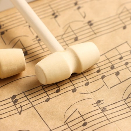 Sticks for the Music Life 2 pcs, hammers round-1