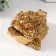 Necc Gold Polystone "Golden toad with a coin" 15.7x12x9.5 cm