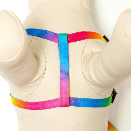 Set "Rainbow", Kapron, leash 120 x 1 cm, fire 24-34 cm, multi-colored-4