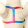 Set "Rainbow", Kapron, leash 120 x 1 cm, fire 24-34 cm, multi-colored