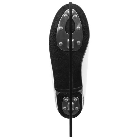 Figure skates Winter Star Basic, p. 39-8