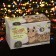 Garland "thread" 15 m, IP20, dark thread, 400 lamps, glow of multi, 8 modes, 220 V