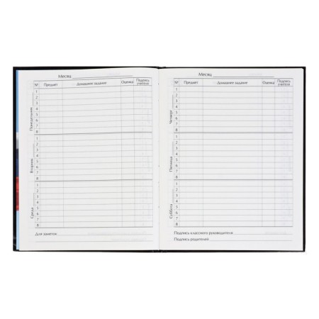 Diary for grades 5-11, Panther, solid cover 7BC, glossy lamination, 48 sheets-5
