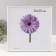 Photo frame plastic LIDA 30x30 cm white (plastic screen)