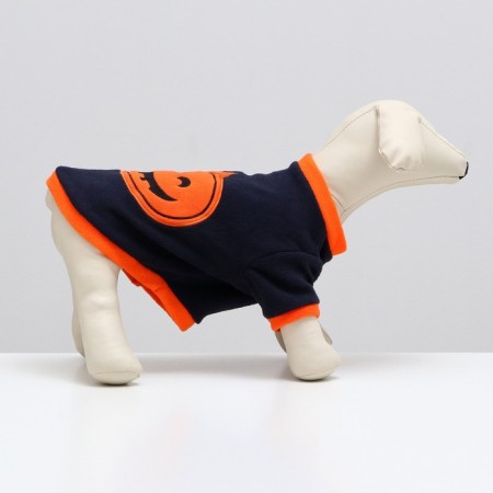 Sweep for animals "Pumpkin", size XS, blue (DS 20, Osh 18, OG 30 cm)-1