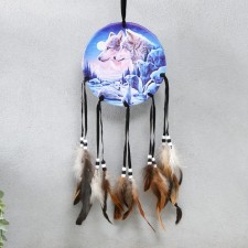 Dreaming Catcher 154 